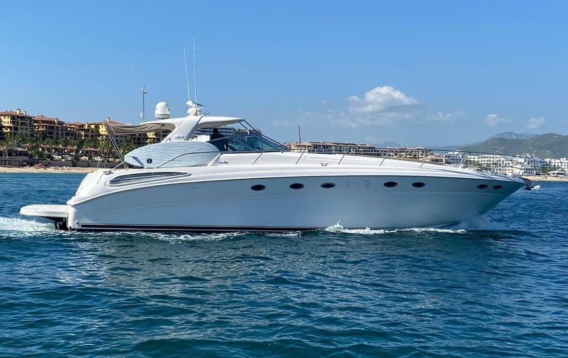 Sea Ray 55